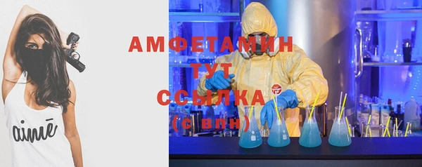 твердый Алзамай