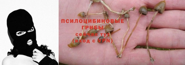 твердый Алзамай