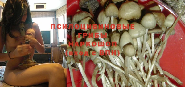 молекула духа Алексин